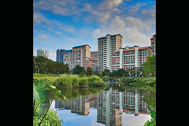 Piing dry cleaning and laundry service

 in Bishan Singapore