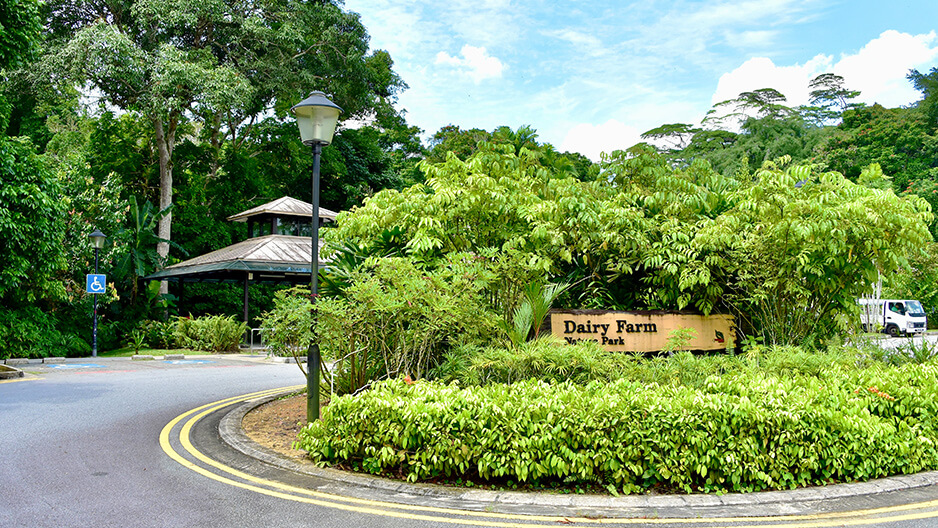 Piing dry cleaning and laundry service

 in Dairy Farm Singapore