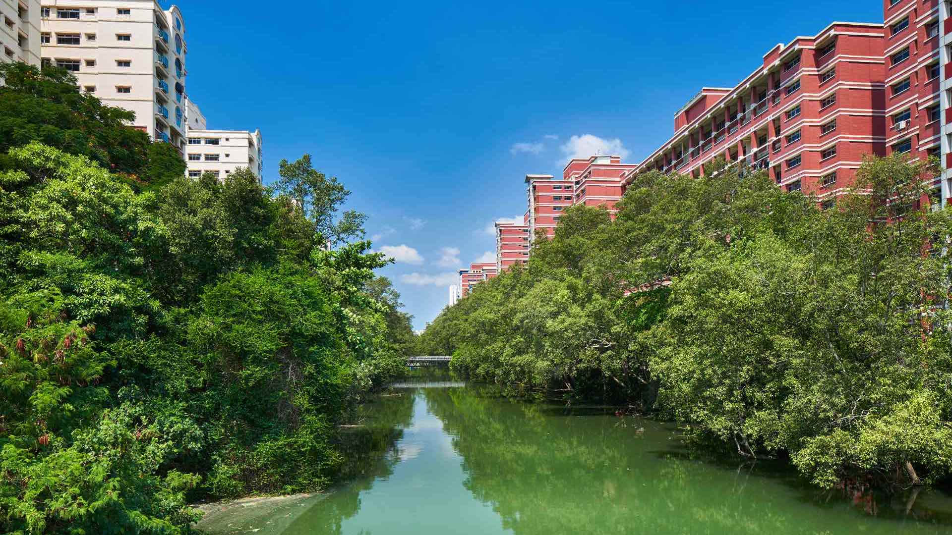 Piing dry cleaning and laundry service

 in Pasir Ris Singapore