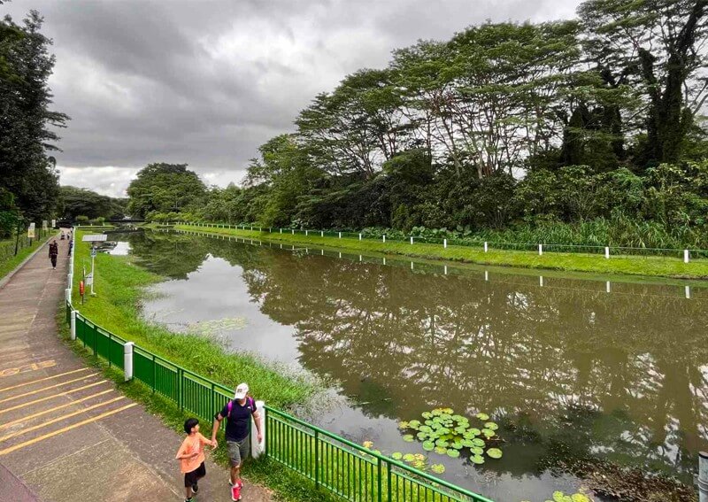 Piing dry cleaning and laundry service

 in Springleaf Singapore