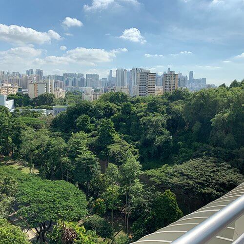 Piing dry cleaning and laundry service

 in Telok Blangah Singapore